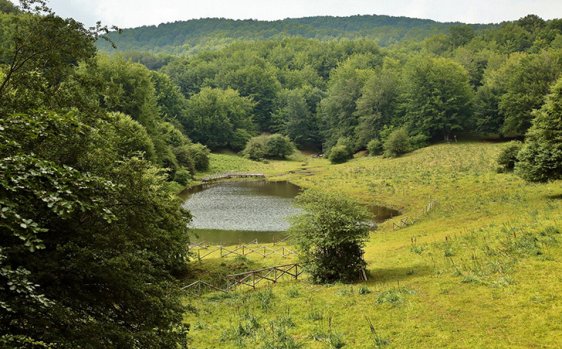 Perché abbiamo abbandonato l’idea di un club di prodotto per lo sviluppo dell’Irpinia?